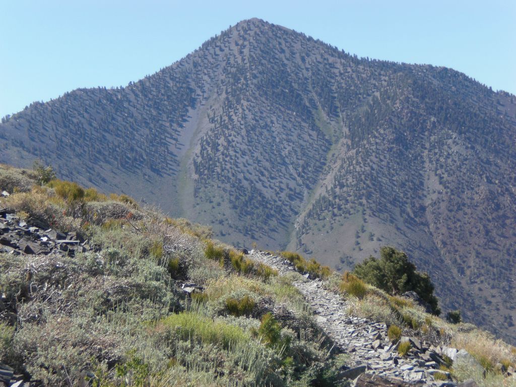 This part of the trail puts Telescope Peak right in front of you: