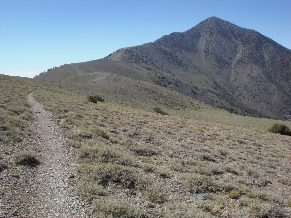 The portion of the hiking trail which passes through the southern half of Arcane Meadows allows for views far into the distance: