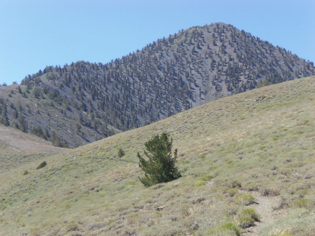 The long path through Arcane Meadows continues to draw closer  to the Telescope ridgeline: