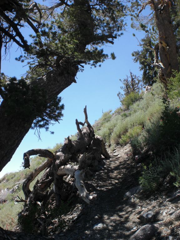 A wonderful spot that we found to stop and take a rest break in the shade: