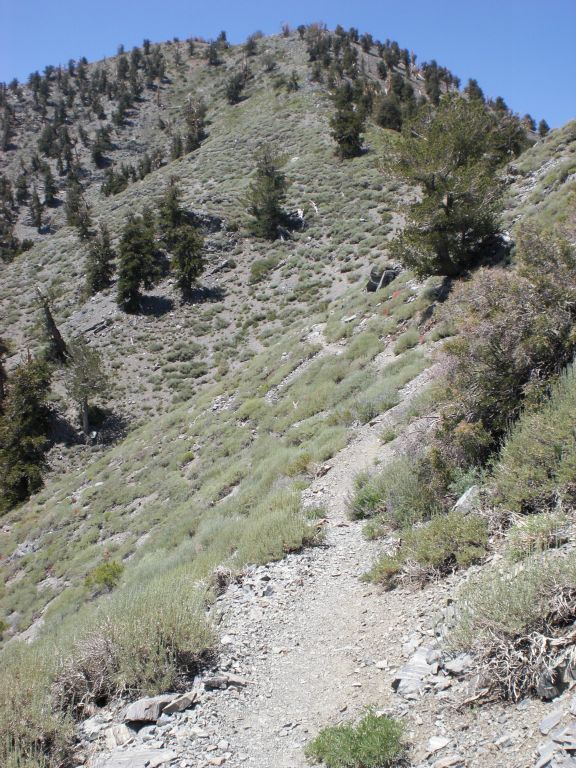 Where there weren't switchbacks, there was still steep elevation gain: