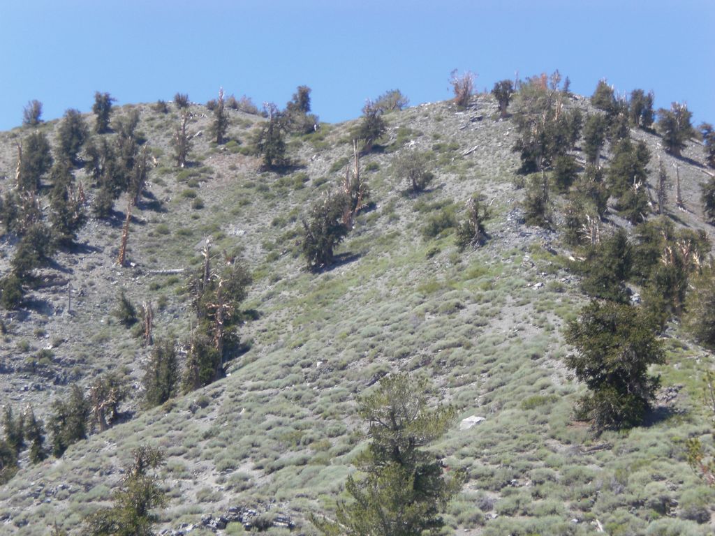 Looking up towards the summit, we could feel the finish line starting to get close: