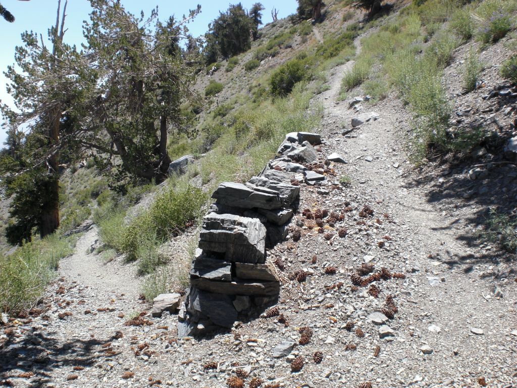 Yet another switchback along the trail: