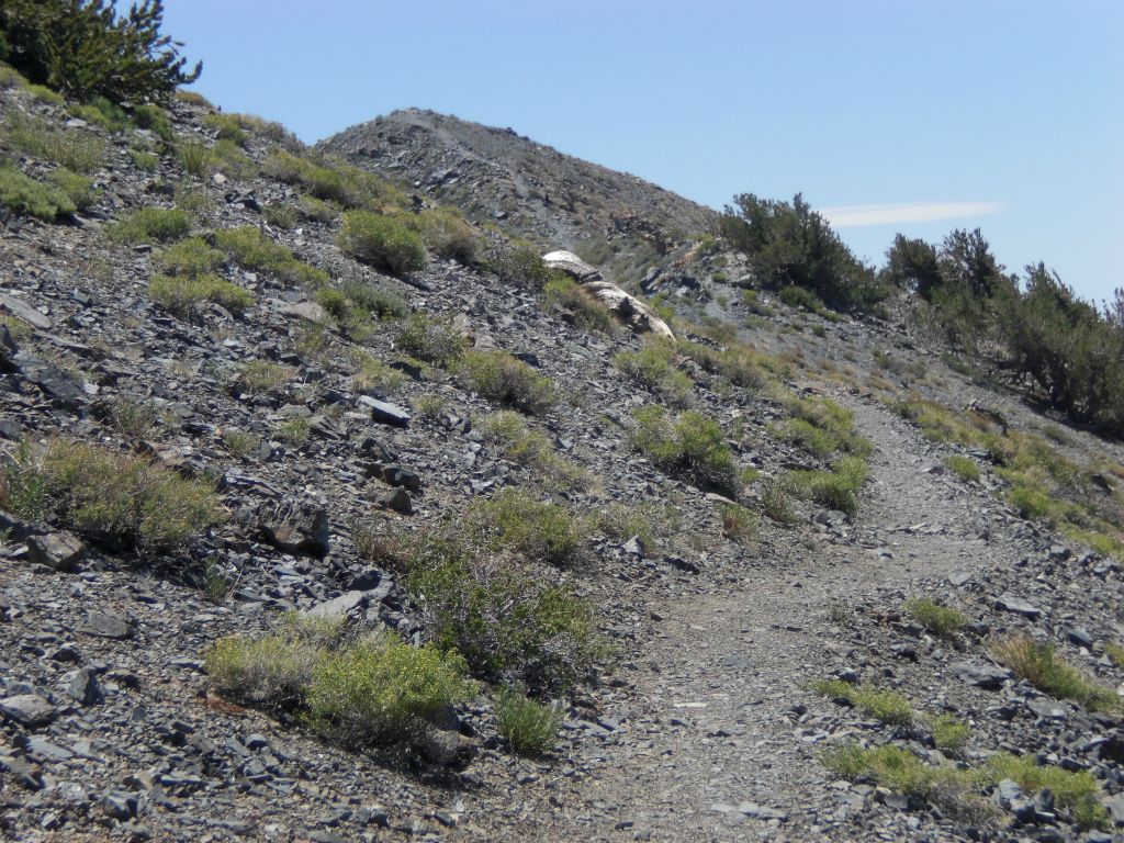 The switchbacks finally ended and the trail opened up as it neared the top:
