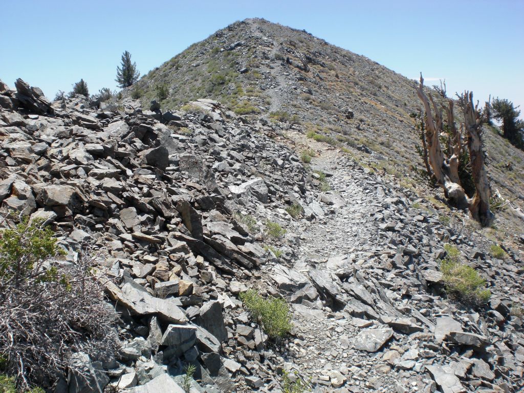 The final push for the summit (with an altitude headache at the same time):