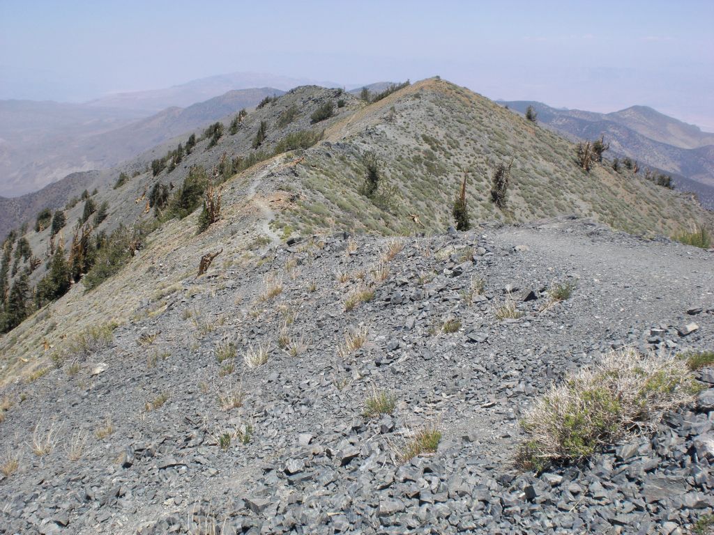 This picture shows the path along the top of the summit: