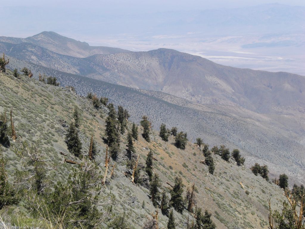 View northwest of ridgelines coming down from Wildrose Peak: