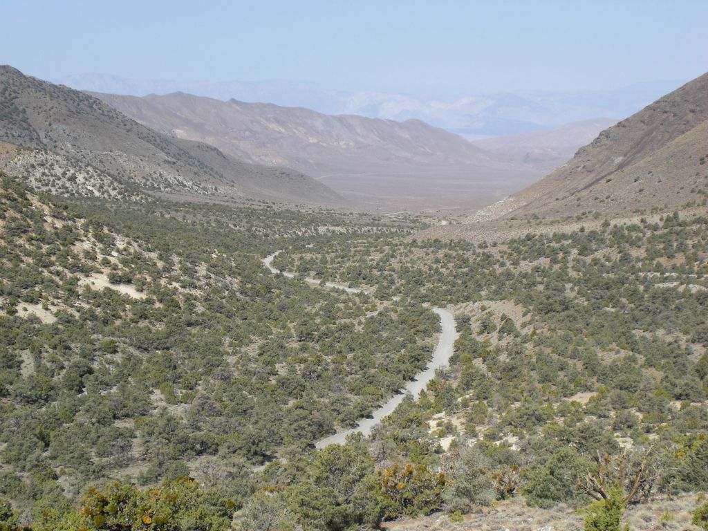 The view which she could see of the road between Wildrose campground and the Charcoal Kilns: