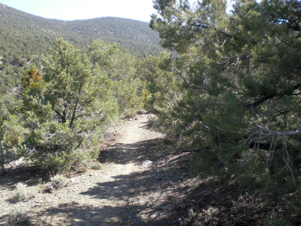On a hot day like we had during our hike, the shady spots were a welcome relief: