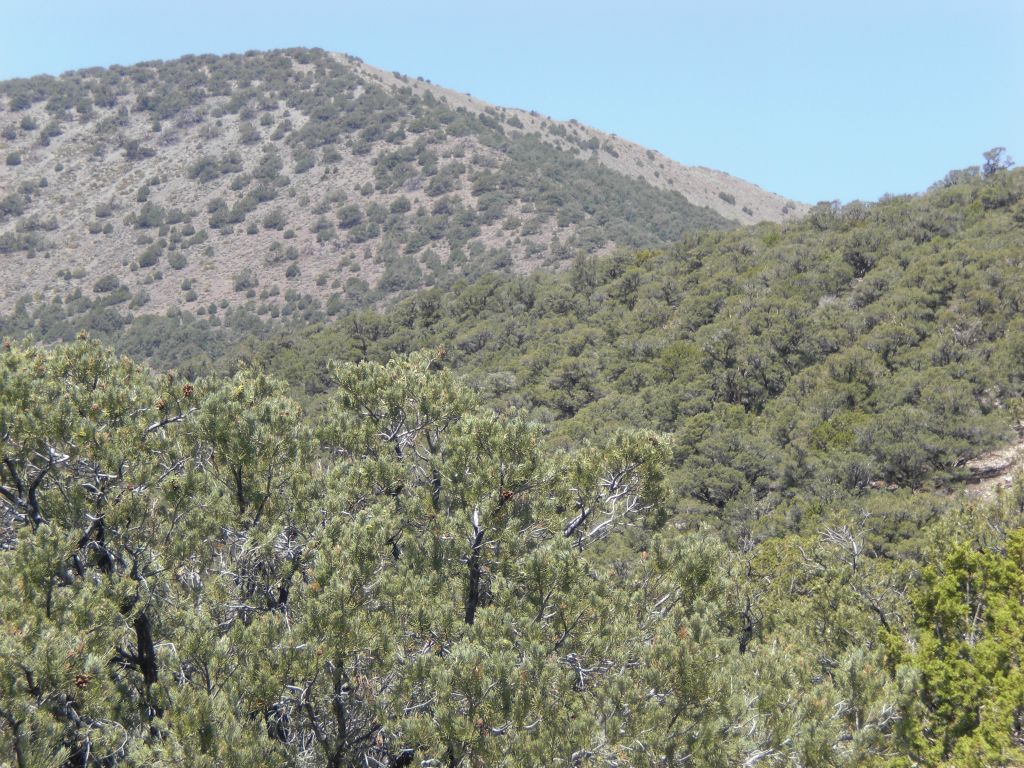 The trail follows the obvious route over toward the final ascent hillside seen in the distance: