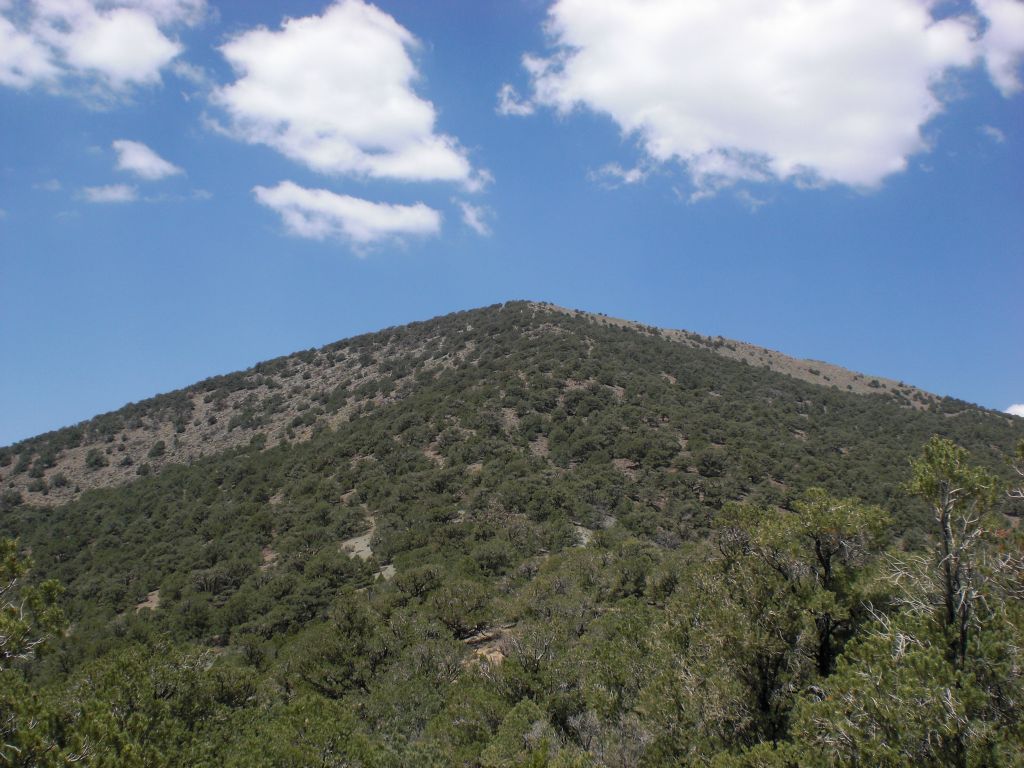 Looking up towards the top of Wildrose Peak and the end of the hike: