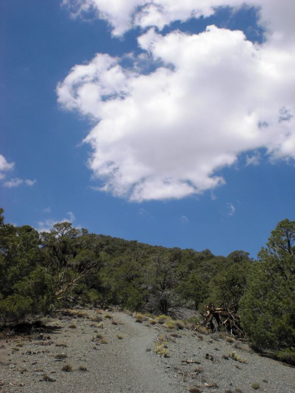 There is nothing better than seeing clouds roll across the sky in the middle of July on a very hot day: