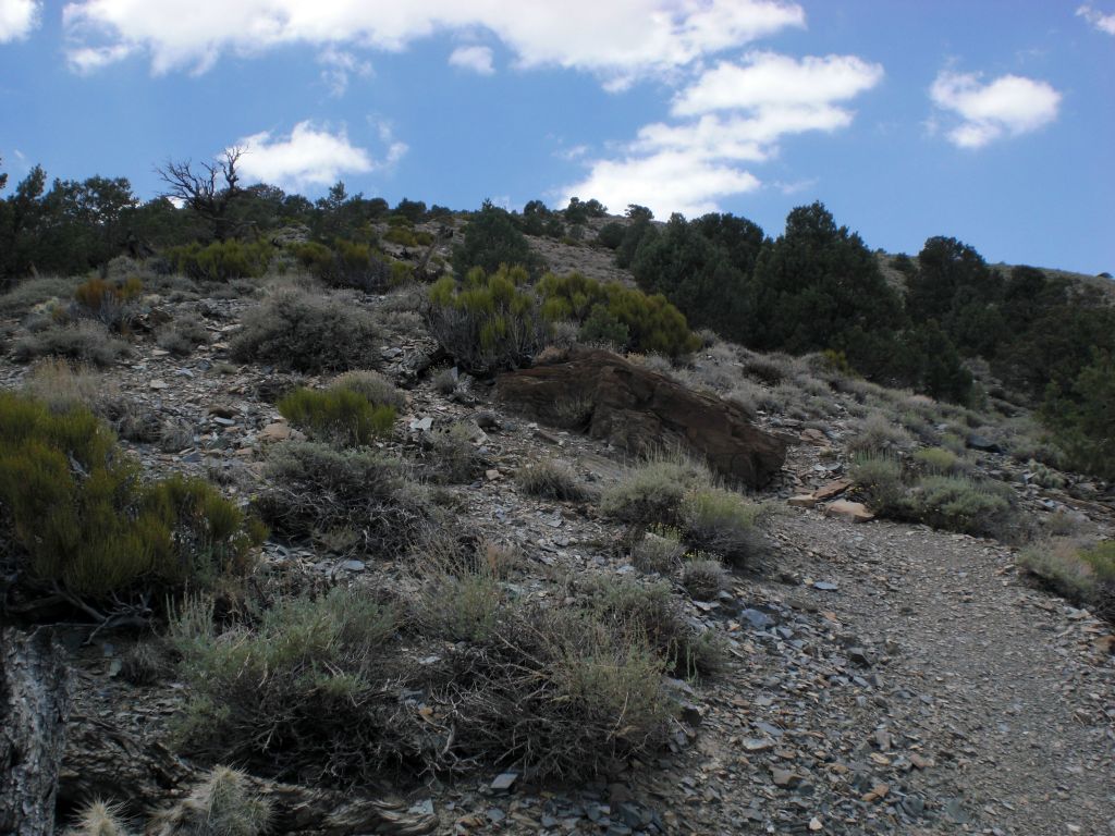 The end of the trail feels so close at this point, it makes you forget that you are now hiking at close to 9,000 feet in elevation: