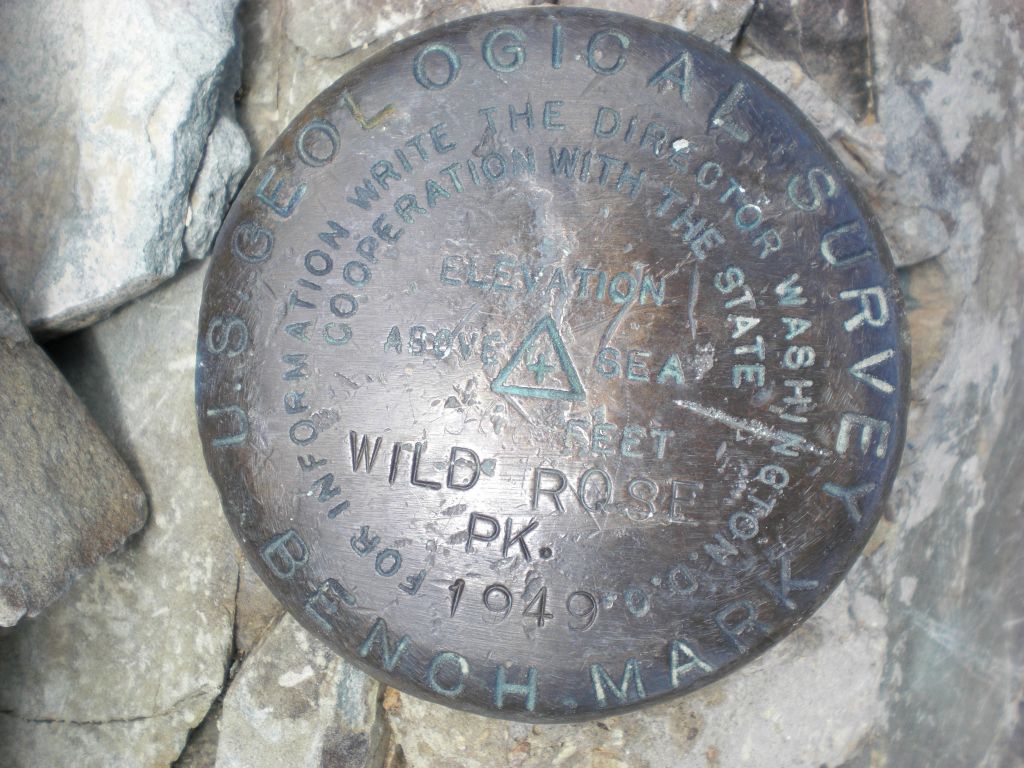 The summit benchmark which identifies Wildrose Peak.  Note the space between the words Wild and Rose.  Perhaps the two words were combined later into one:
