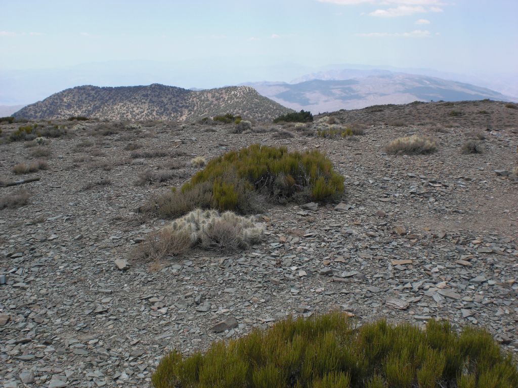 This unnamed prominent ridge blocks a good view to the west: