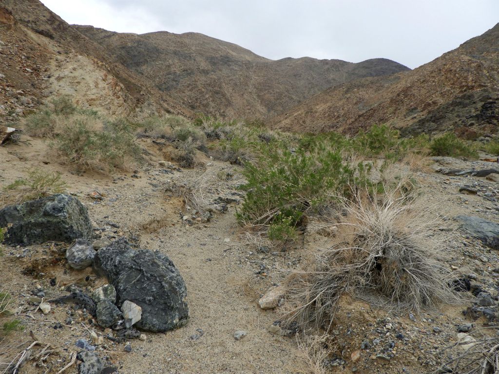 The beginning of the hike is through both small and large washes: