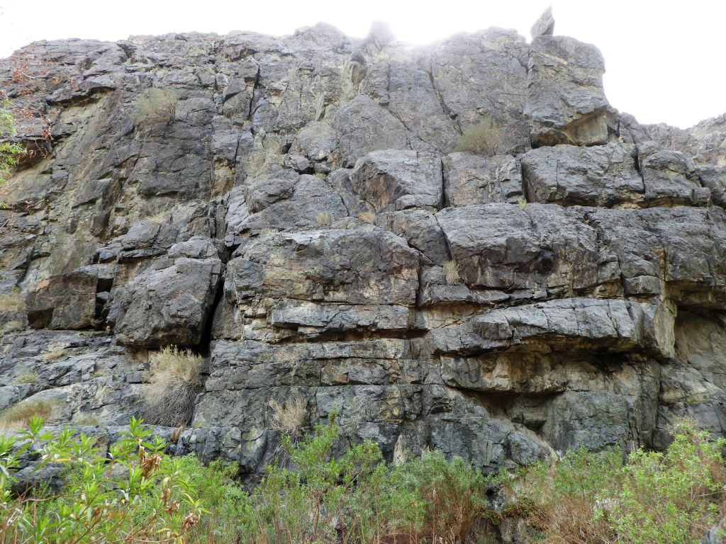 Looking up at the large rock wall seen along the right side of the trail: