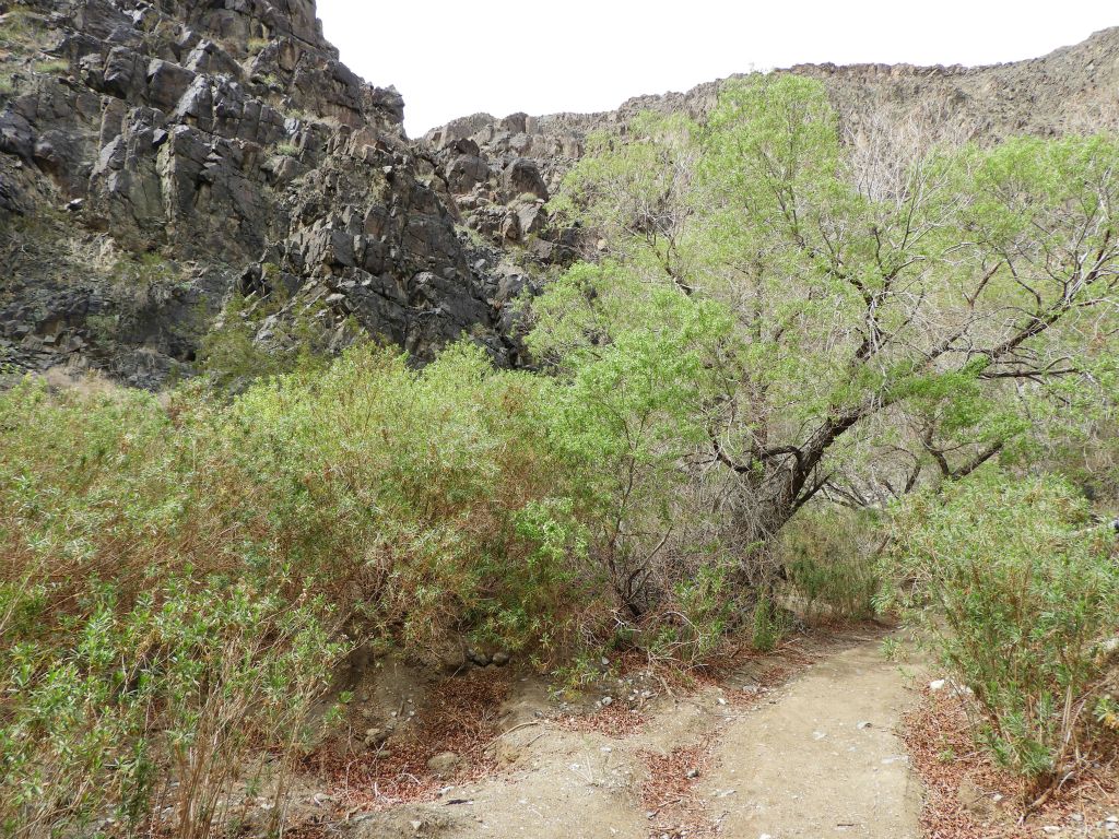 As the rock walls of the hillsides and canyon darken and become more solid, it really contrasts nicely with the greenery: