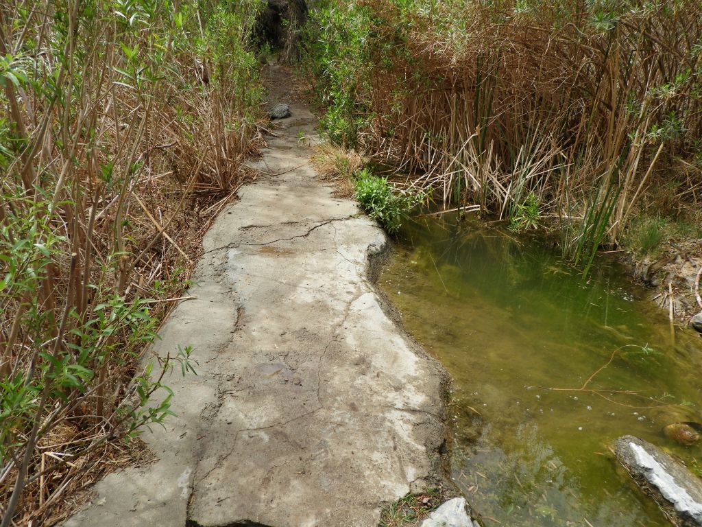 I'm not sure if this concrete section was poured to form a small dam or to allow for easier hiking: