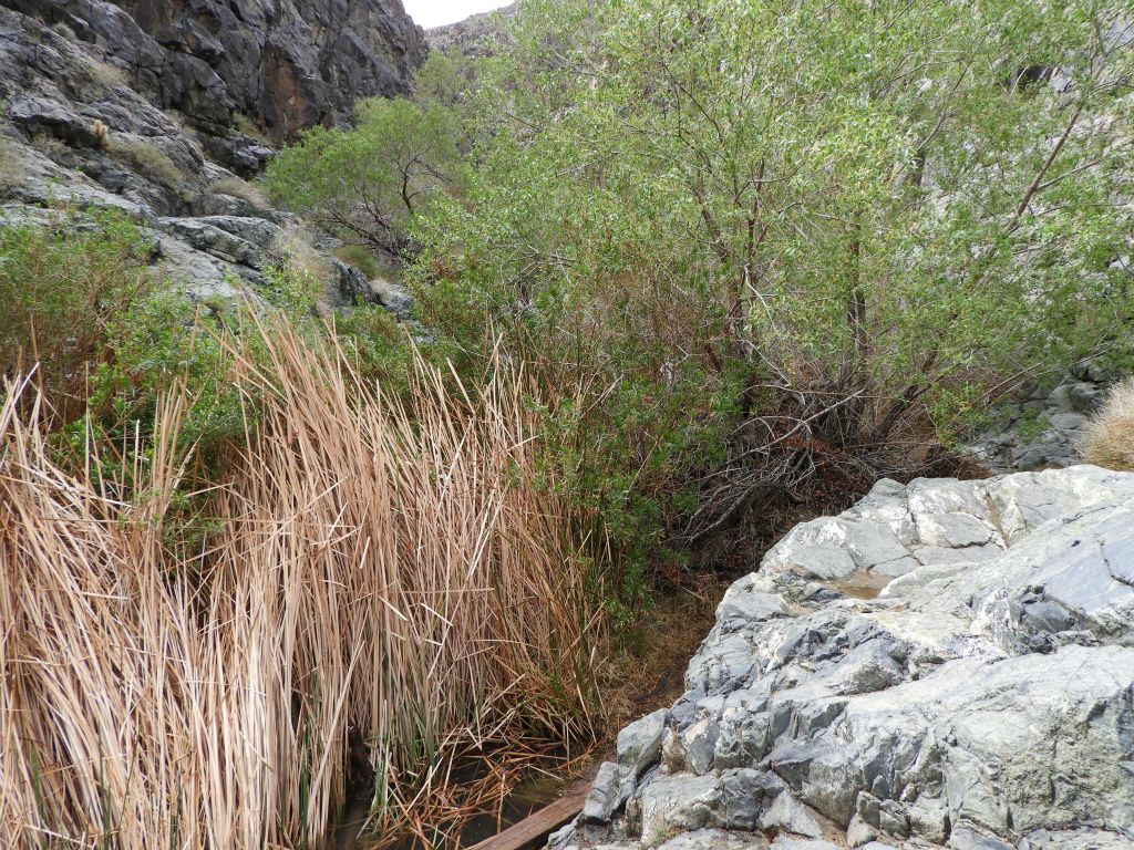 Another very scenic spot in the canyon with a great contrast of colors:
