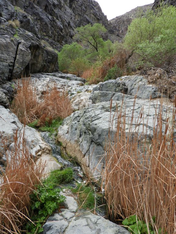 Portrait view of the same spot reveals the canyon walls rising high above: