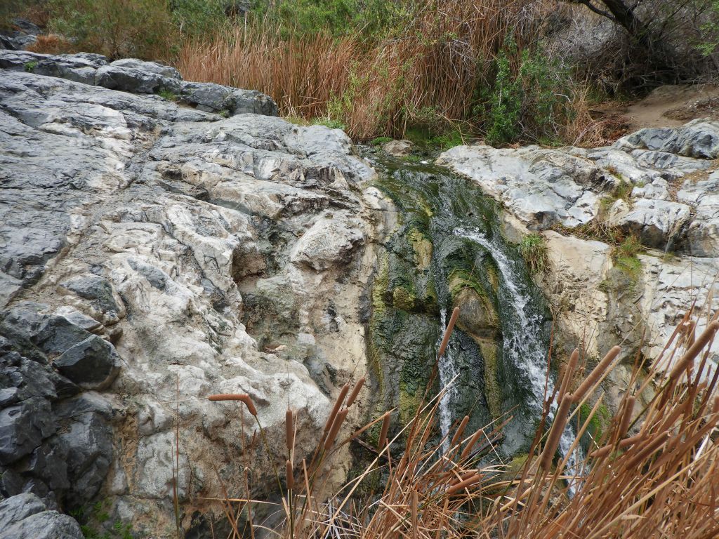 A small mossy cascade where the creek flows over with cattails visible in the foreground: