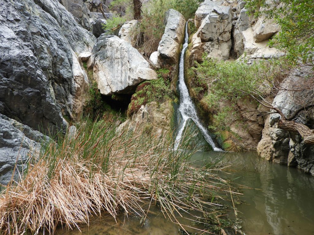 Reaching Lower Darwin Falls, which is said to be 18 feet high: