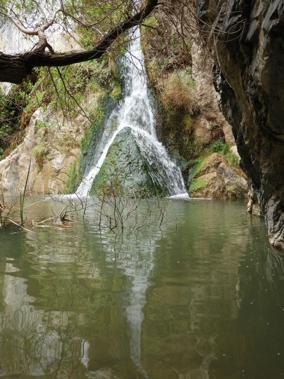 This alternate view is blocked by a large tree branch but shows how large the somewhat reflective pond is at the base of the falls: