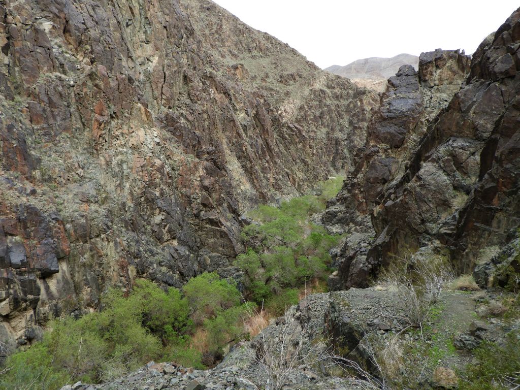 The bonus pictures begin with this view looking over Darwin Canyon from high above.  Please read my warning on the front page of this particular report and do not attempt this portion of the hike due to safety concerns: