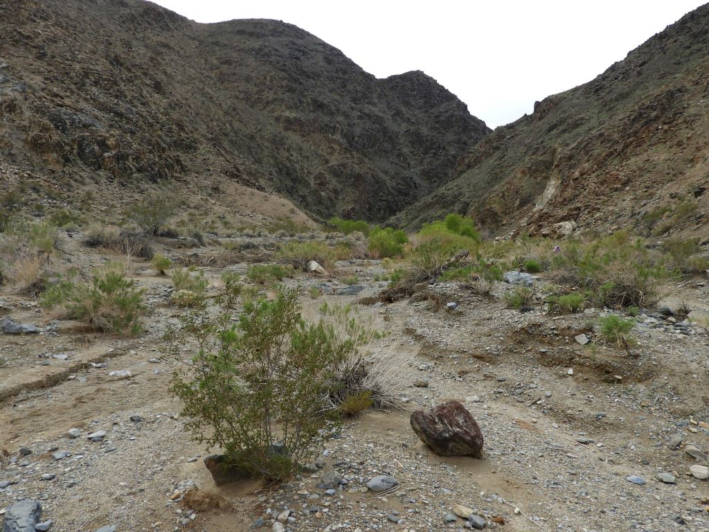 Up ahead, you can see how the canyon narrows down from a wide wash to being much tighter: