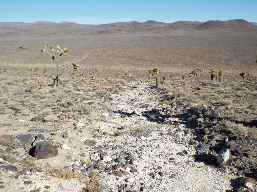 The road crests a small hill and then suddenly drops 175 feet in elevation very steeply: