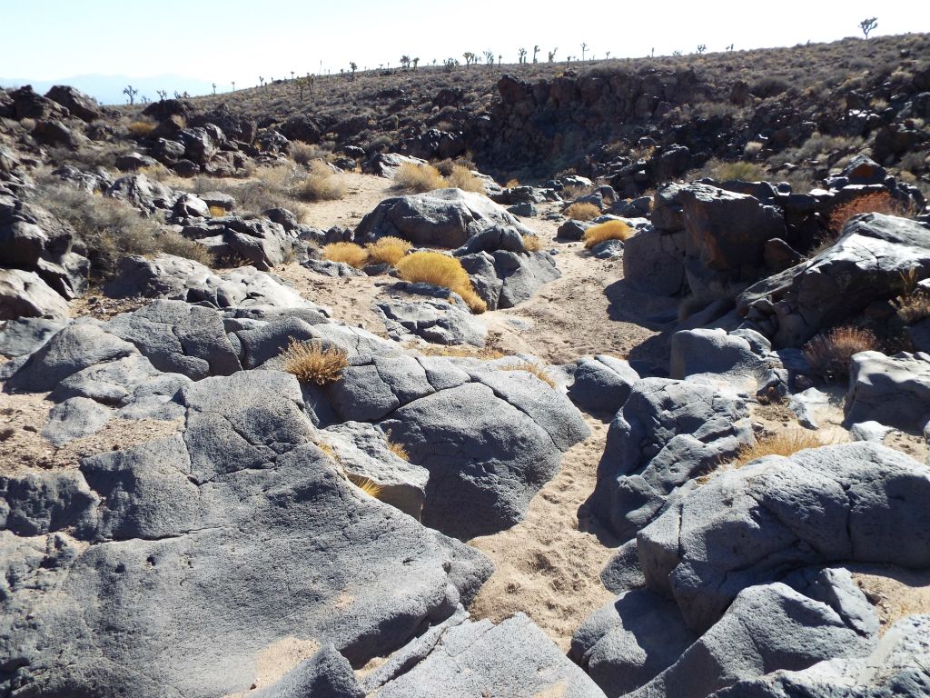 After 1 1/4 miles of wash walking, giant boulders start appearing within the wash: