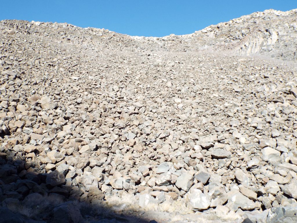 Another huge rockslide area.  We saw a Kit Fox jumping through the rocks in this area but we were not fast enough to get a photograph: