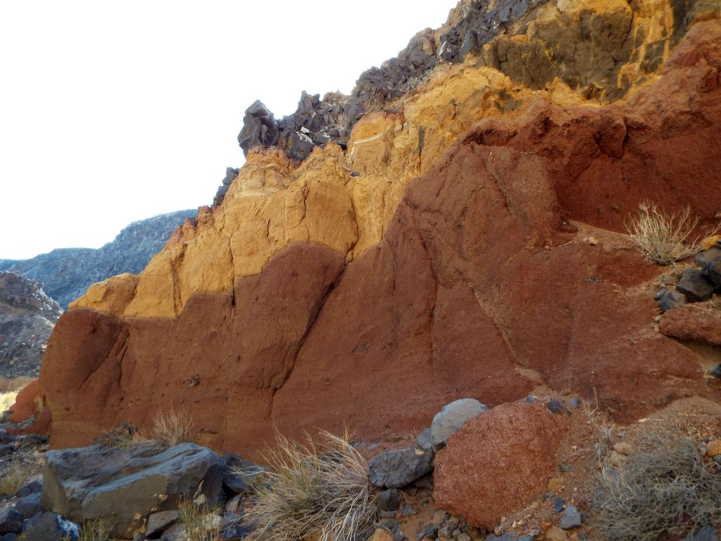 I love the contrast between these two distinct color layers: