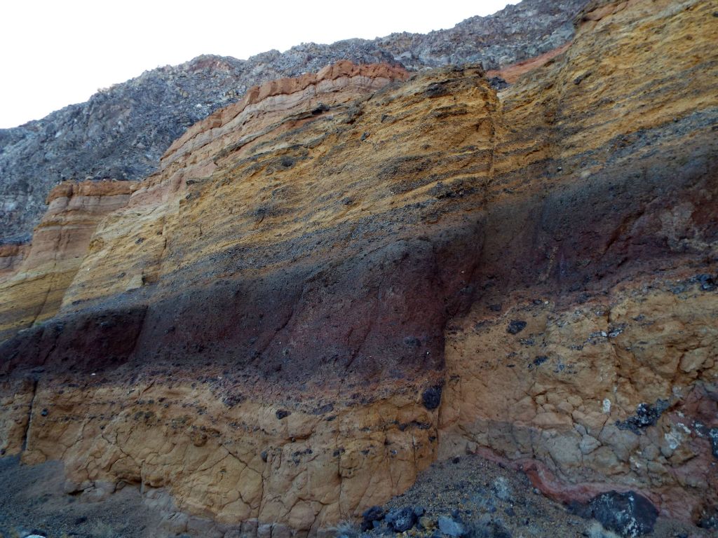 A nice contrast of dark and light colors on display: