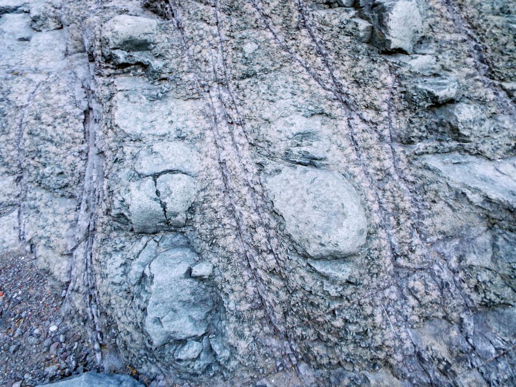 Checking out some of the more intricate designs on a rock wall: