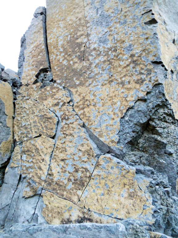 The next two pictures show some faded patterns on cracking rock that was part of the canyon wall: