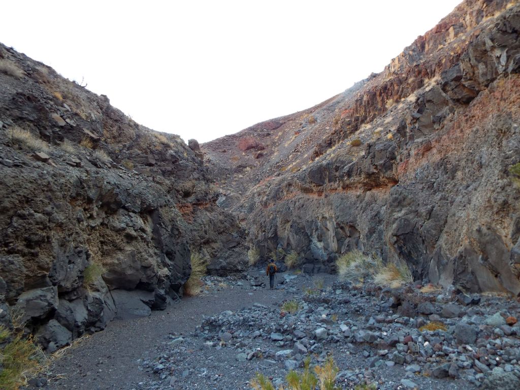 Josh steadily hiking down canyon.  This was only his second time in the park with me during the last decade.  He certainly chose a good major hike to join me on with Lee Wash: