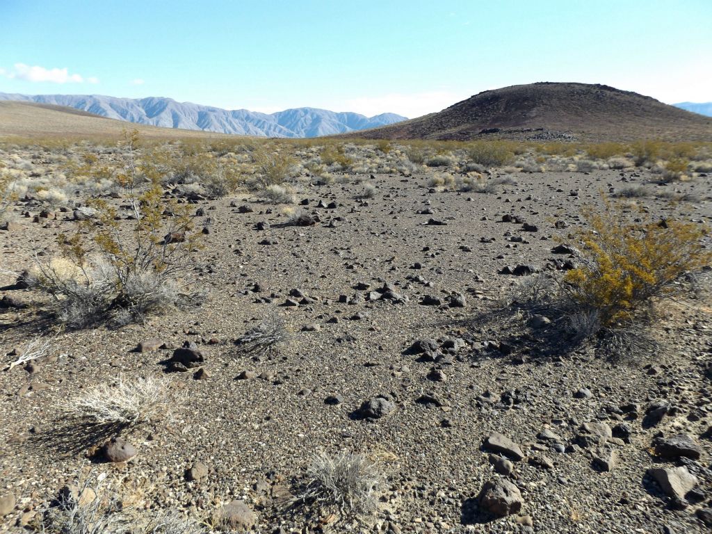There were some really nice sections of terrain to walk on such as this area:
