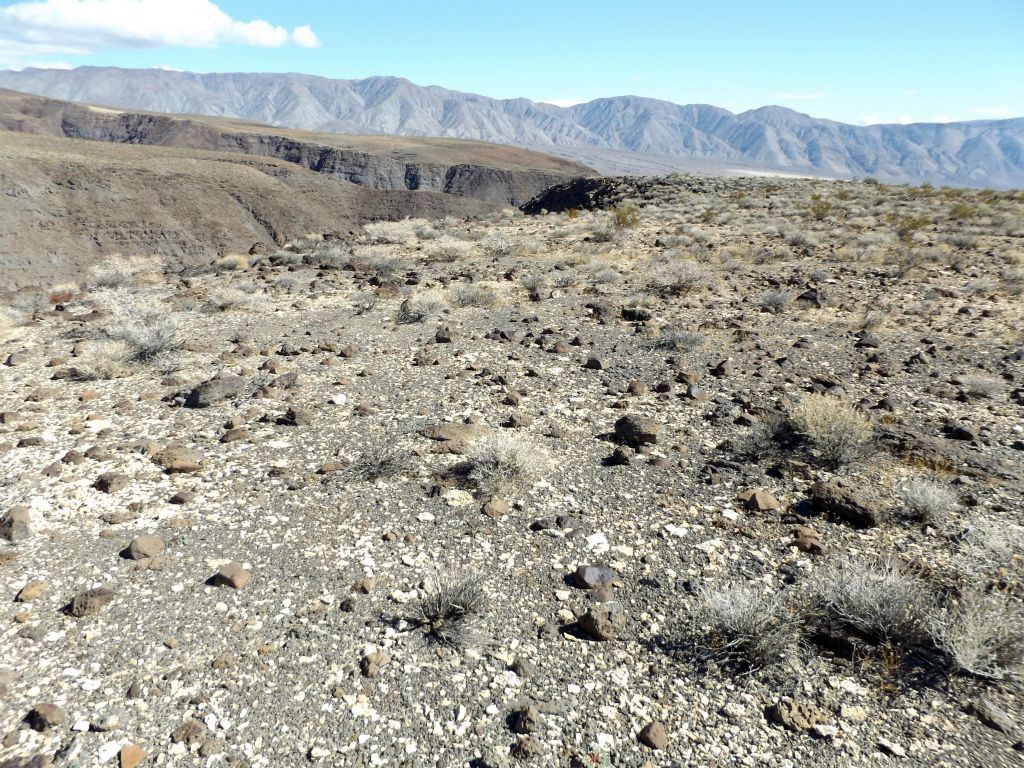 Walking another section along the canyon rim: