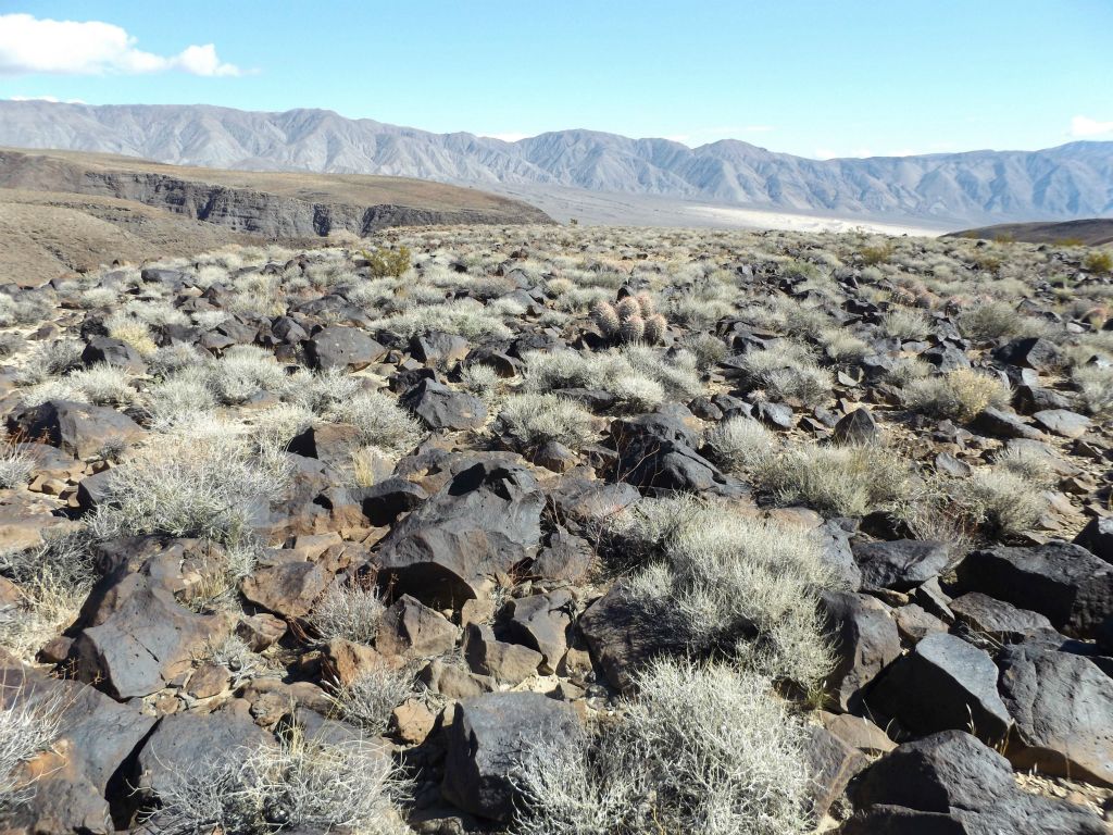 Approaching the end portion of the canyon rim walk as the terrain changes to large rocks everywhere: