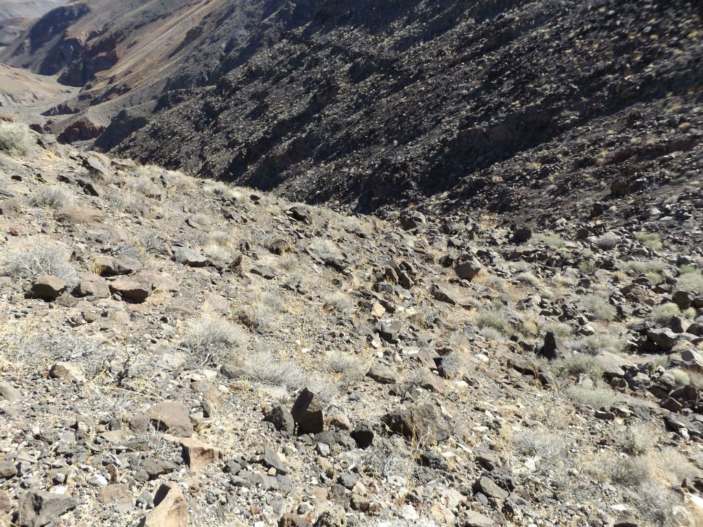 The hillside terrain leading down into the gully wash is fairly steep: