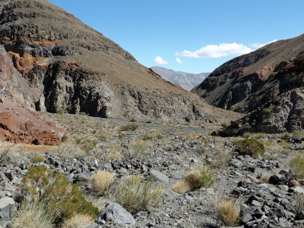 At the mouth of Lee Wash Main Side Canyon, this is the junction where it merges with Lee Wash: