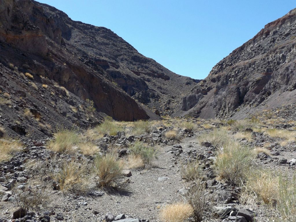 This canyon is probably seldom explored by hikers.  I would think maybe once per year at the most.  Or perhaps every few years: