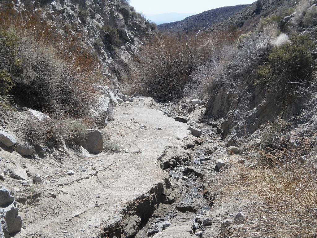 Finally arriving in the wash of Mill Canyon: