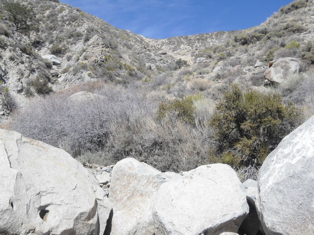 Looking back up canyon at the point where we dropped in.  We could see all the way up to the true head of Mill Canyon: