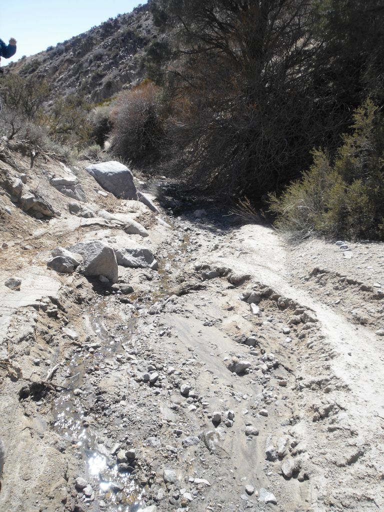 Continuing to follow the flowing spring in the next two photographs: