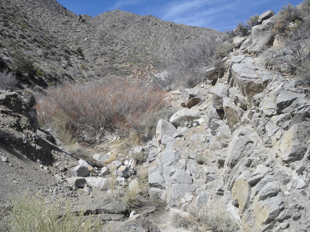 Thick bushes and trees would crowd the narrow canyon wash on a regular basis, even more so the farther we progressed down canyon: