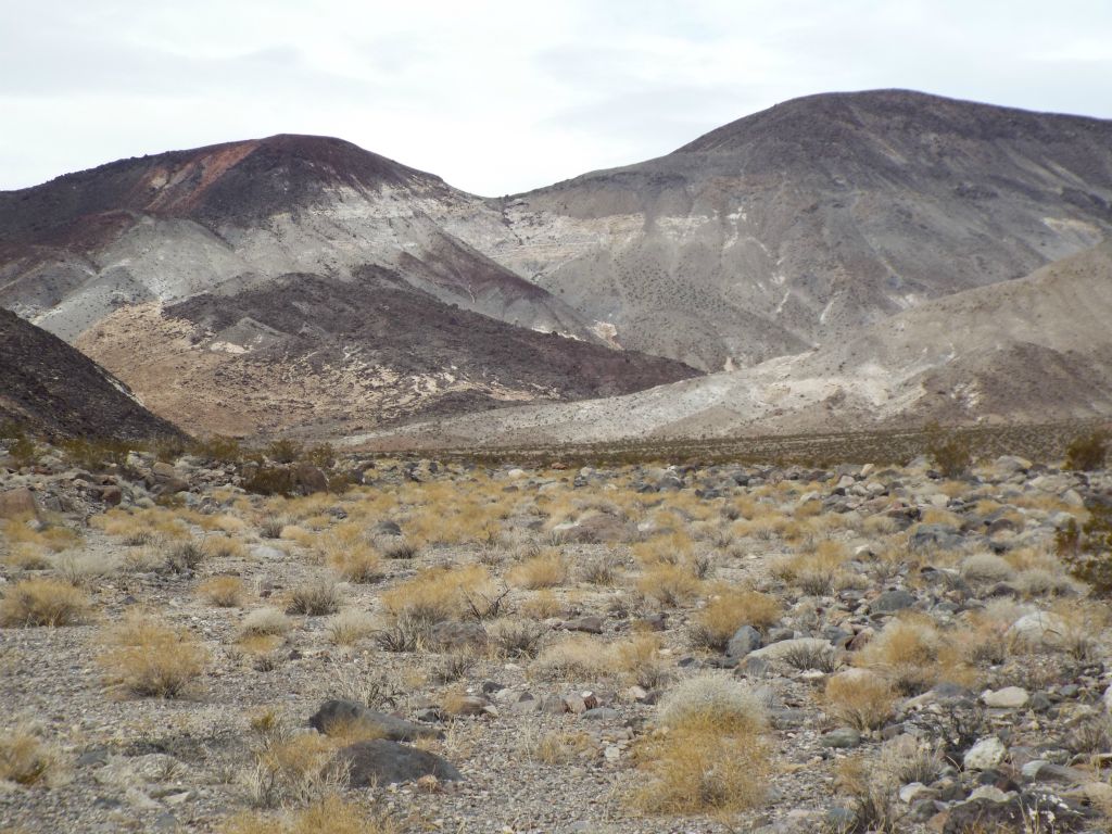 Zooming in on the entrance to the North Fork, which cuts to the left on the left side of this picture and heads out of view: