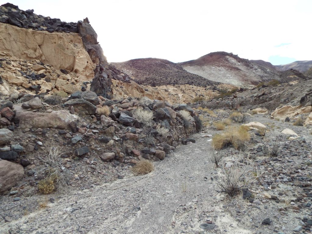 We stayed to the left and continued hiking up the first part of our preplanned loop route: